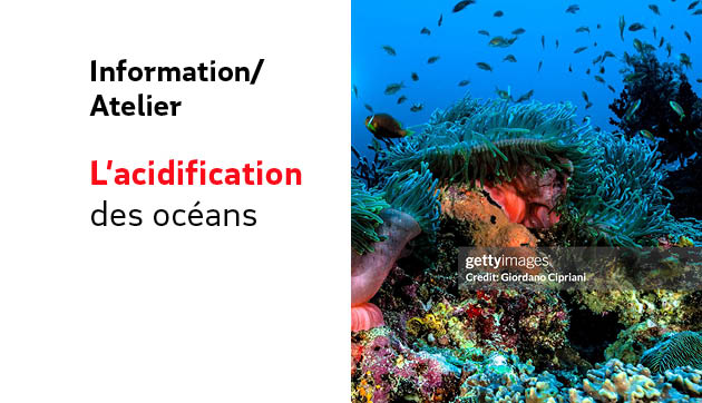 L’acidification des océans