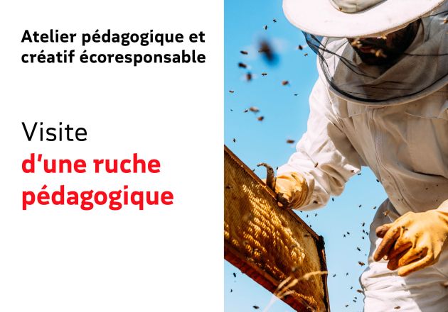 Visite d’une ruche pédagogique