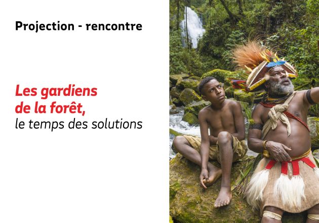 Gardiens de la forêt, le temps des solutions