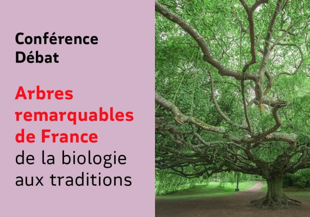 Arbres remarquables de France, de la biologie aux traditions