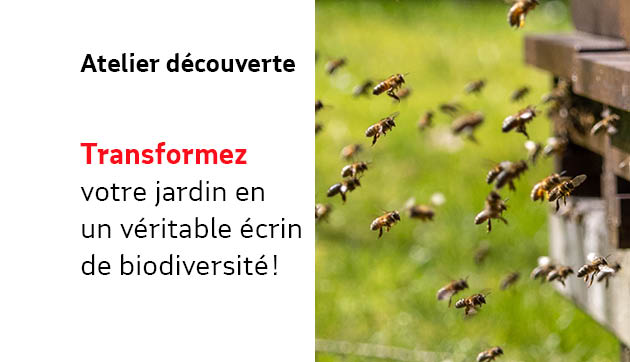 Entreprenez de faire de votre jardin un véritable écrin de biodiversité