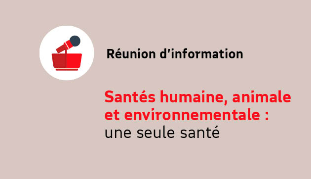 Santés humaine, animale et environnementale : une seule santé